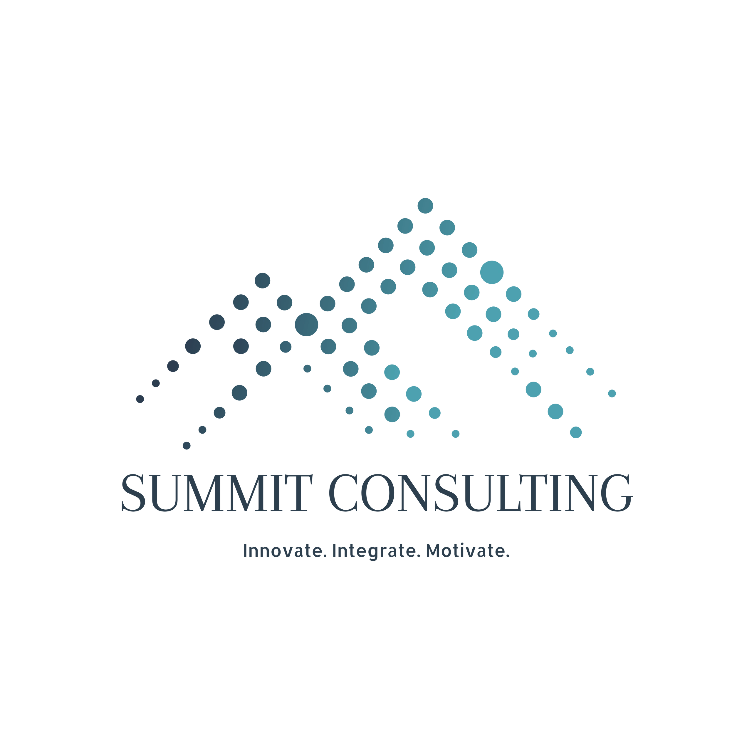 Business and Management Consultant - Summit Consulting Corporation