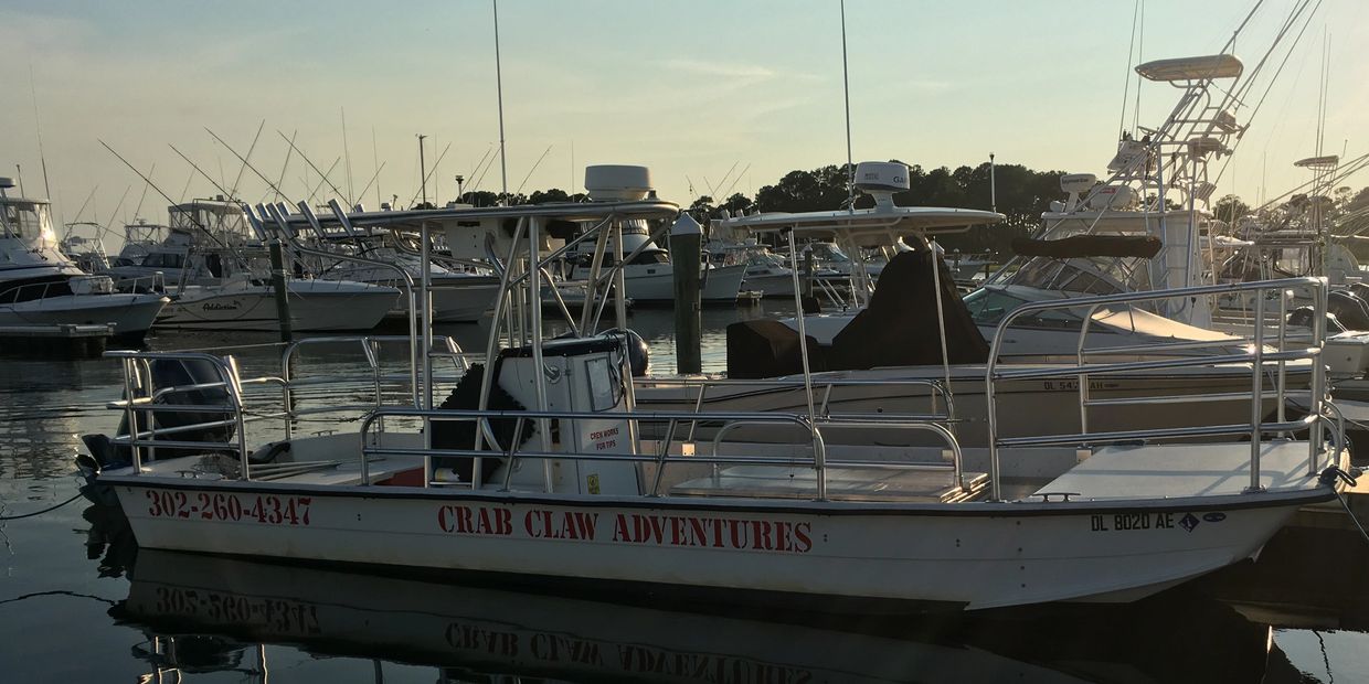 Crab Claws Adventures