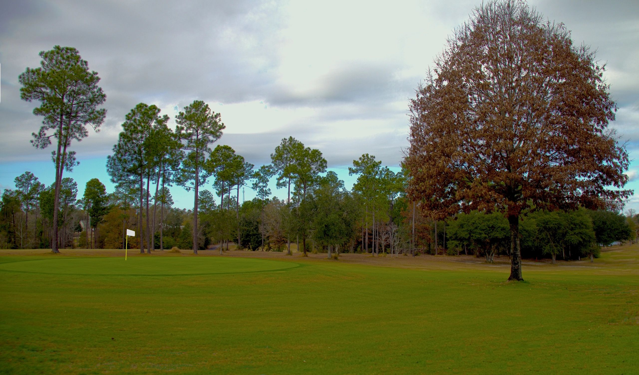 Dogwood Hills Golf Club Biloxi, Mississippi