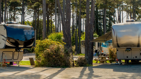 Image of fully landscaped area with privacy area between two neighbors top of the line RVs.