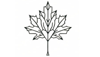 maple-district.com