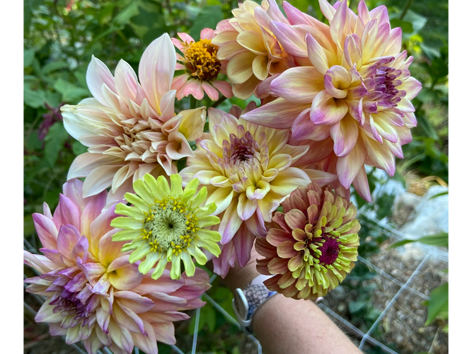 Bouquets, Flowers, Florist Flowersmith Gardens Boise, Idaho
