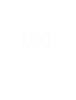 Fatimah Ali Photography