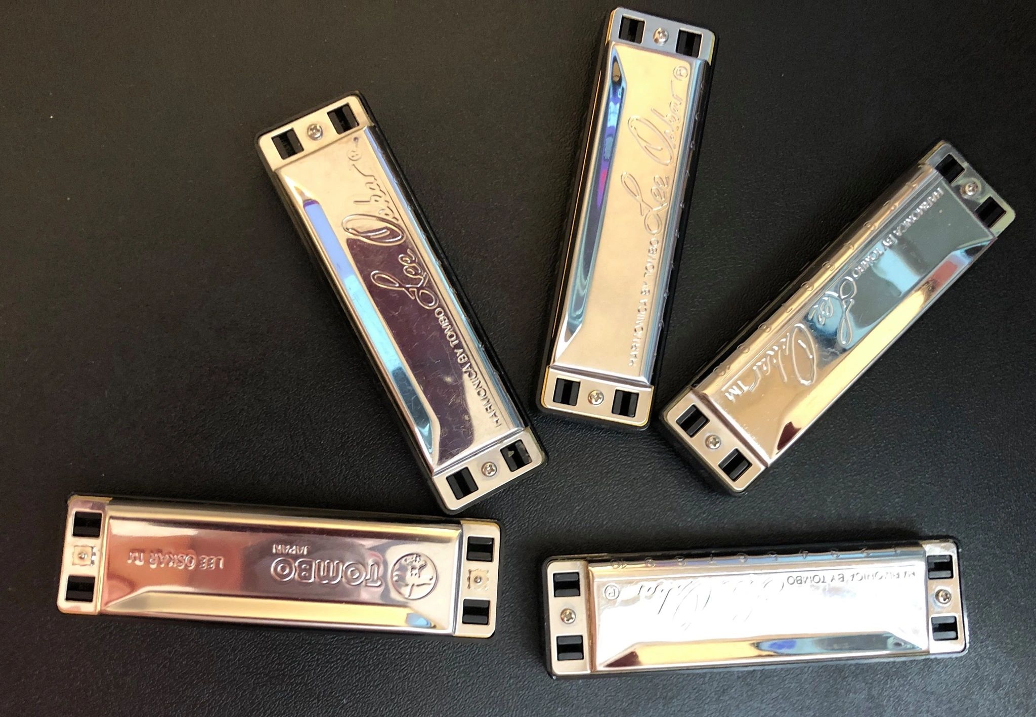 Describing Free First Lesson Learning Harmonica Style Describing Free