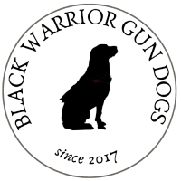 Black Warrior Gun Dogs