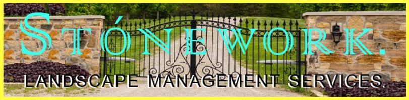 Stónework Landscaping Management Solutions. Gólf Láwn PróTURF Par