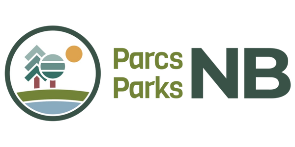 park management risk safety consulting consultant trails tourism outdoor training expert witness