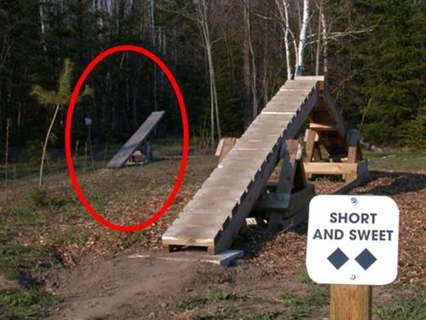trail risk management safety bruce county teeter totter mountain bike lawsuit injury expert witness