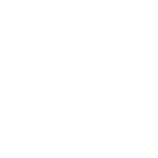 Walsh Advocacy Group