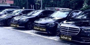 Izlink FCG Black fleet