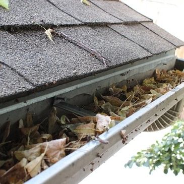 Free up those clogged gutters and down spouts!