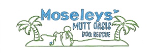 Moseleys' Mutt Oasis