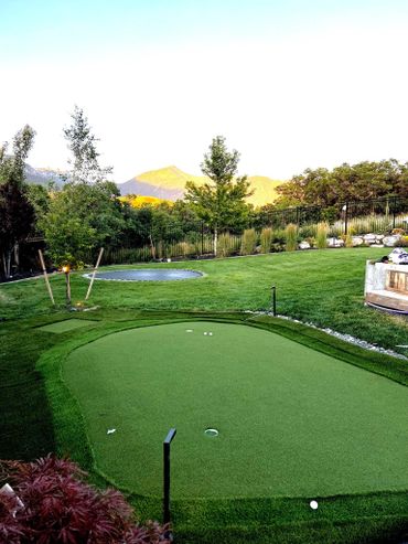 Backyard putting green with chipping area.