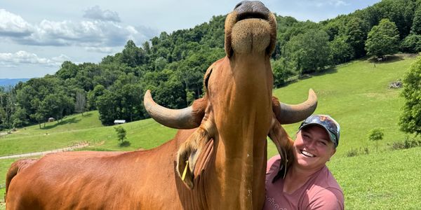 Person smiling next to a cow with large horns in a green field.