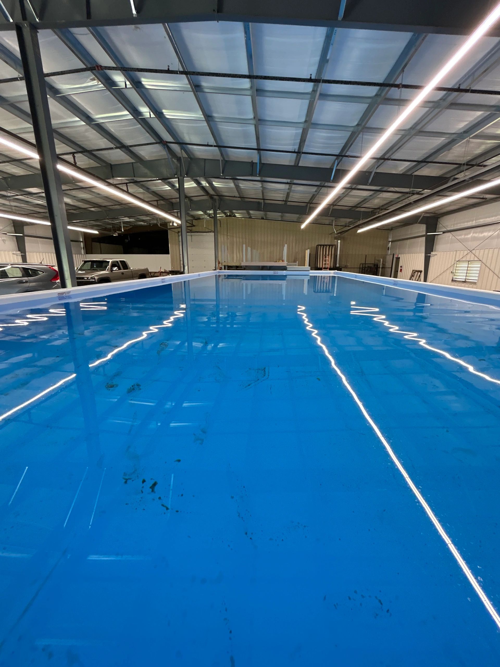 The Gated Dock AKC Fast Cat, Dock Diving