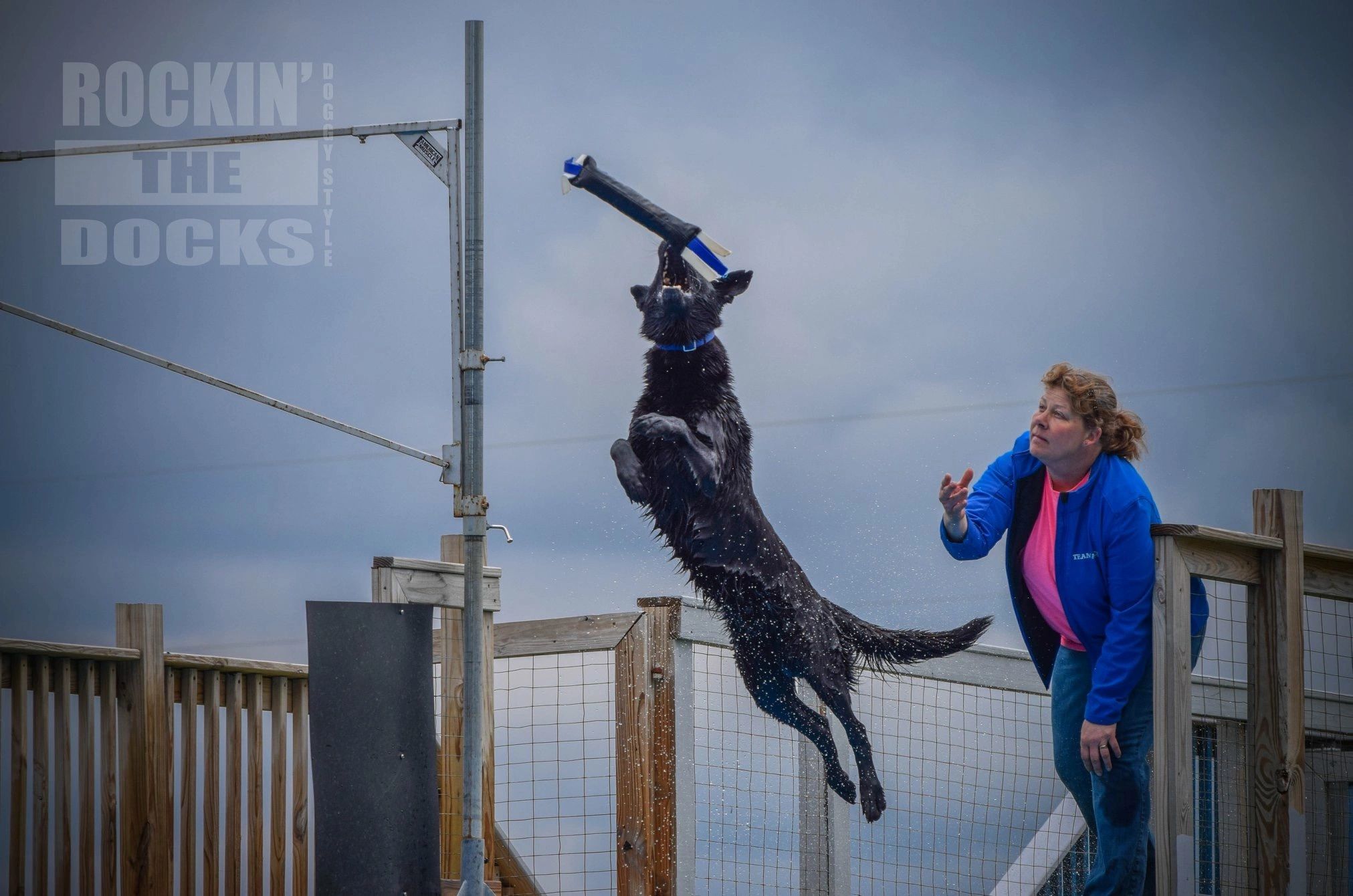 The Gated Dock AKC Fast Cat, Dock Diving