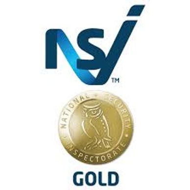 nsi gold logo