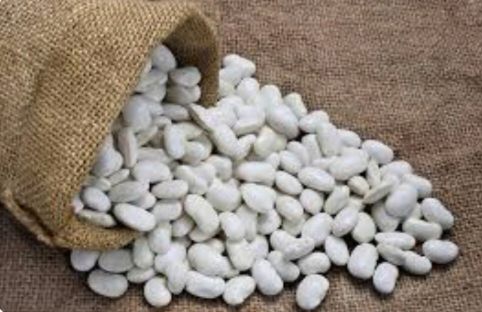 Egyptian high quality white beans 

