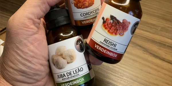 Cogumelos Funcionais