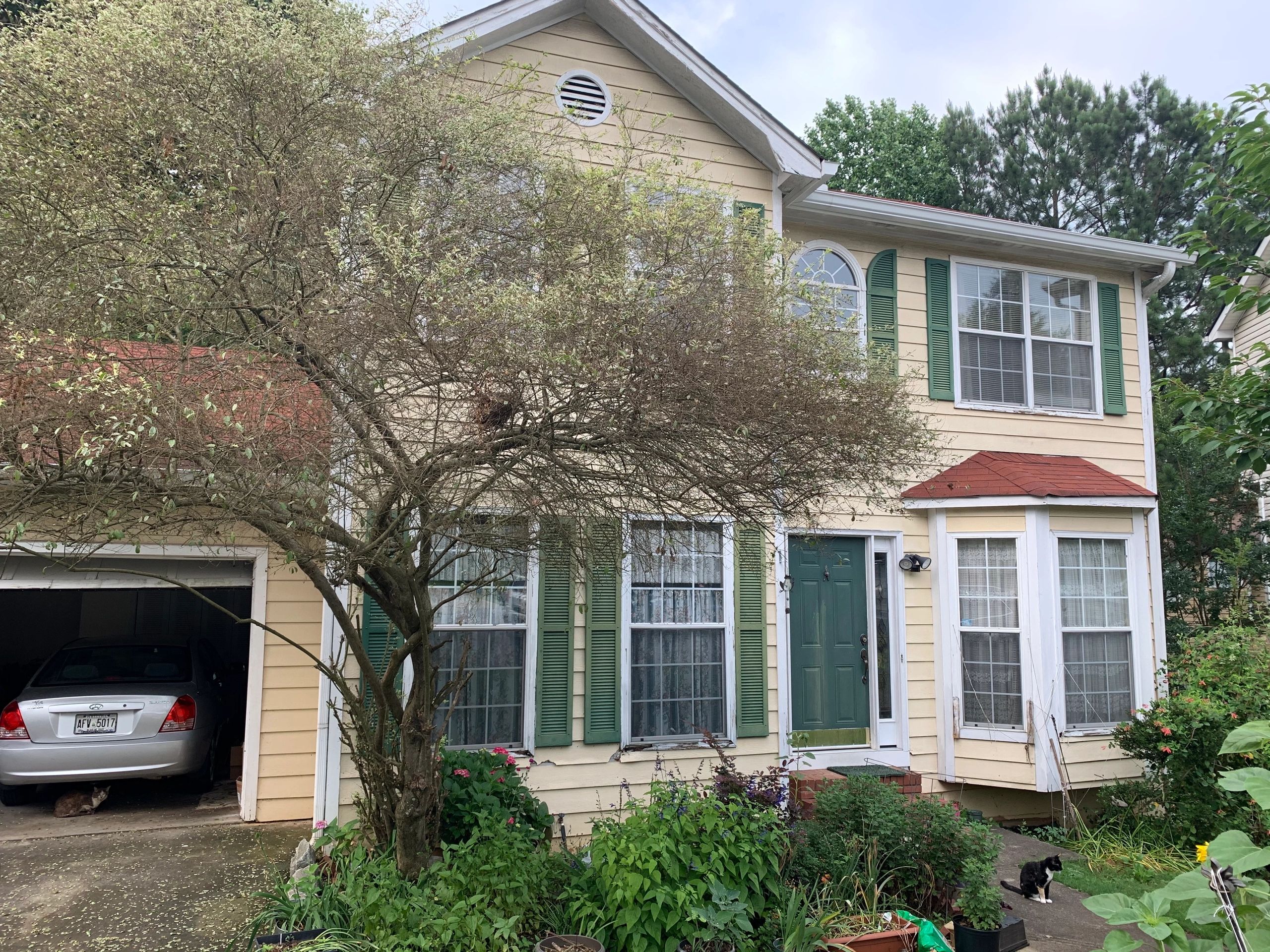 Two cats near a yellow house with green shutters and a green door.