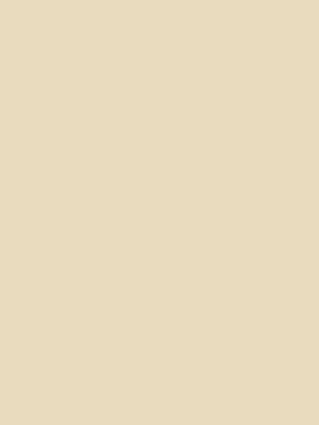 Beige wall with a small metal object and shadow near the corner.