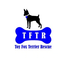 Toy Fox Terrier Rescue, Inc.