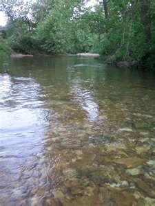 Peaceful rivers in Steeleville