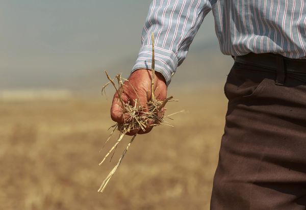Productor con rastrojo en las manos