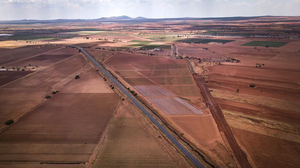 Campos con sistema de riego tecnificado