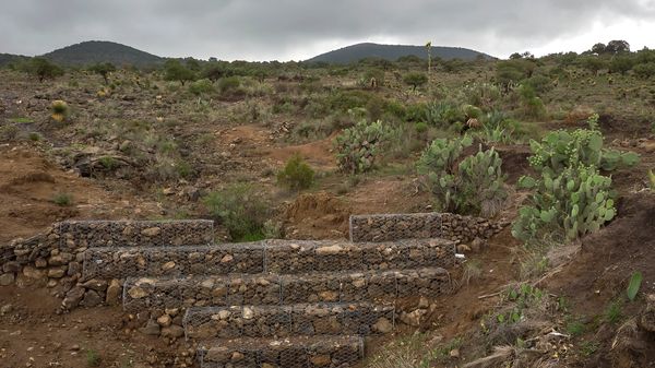 Presas de gavión en Apan Hidalgo