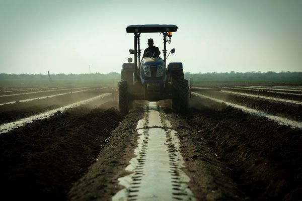 Tractor conducido por agricultor al atardecer