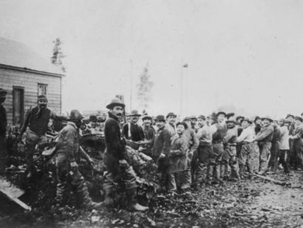 New Metlakatla Pioneers pulling tree stumps out by hand.