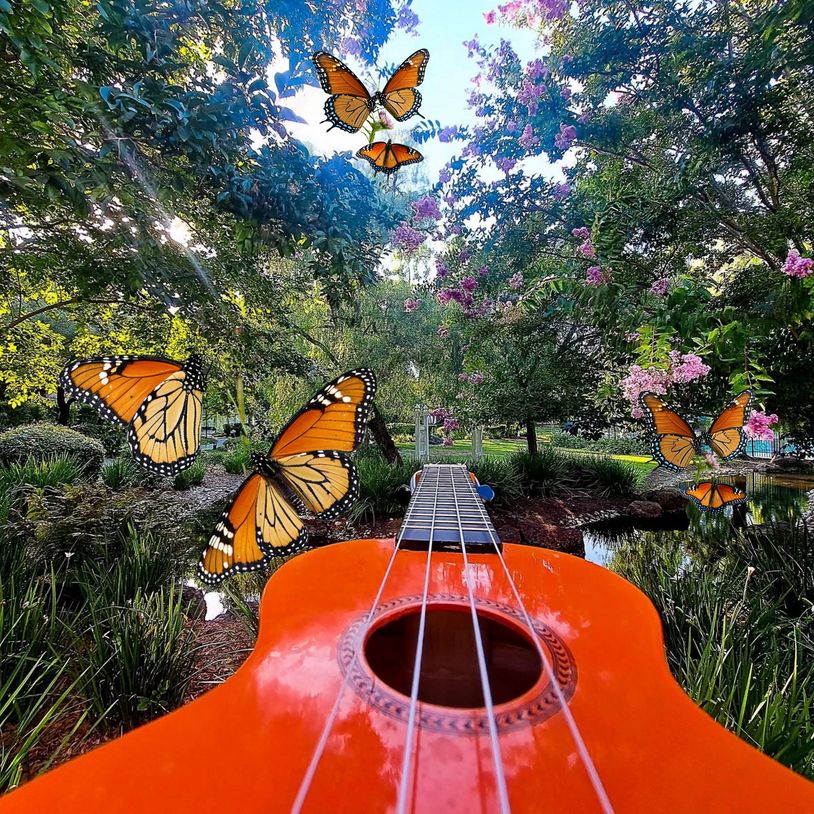 Ukulele, monarch butterflies 