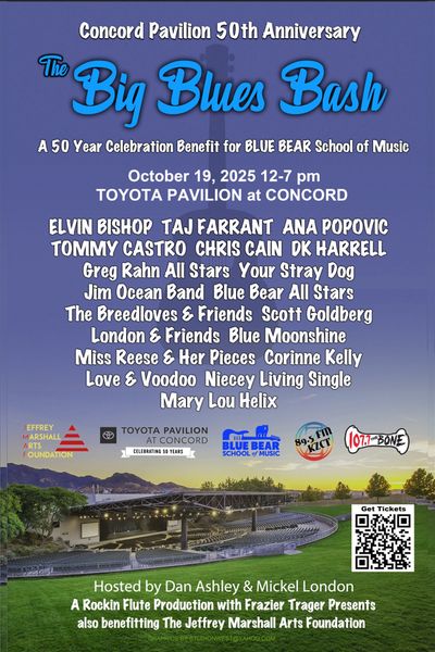 Concert, music, blues 