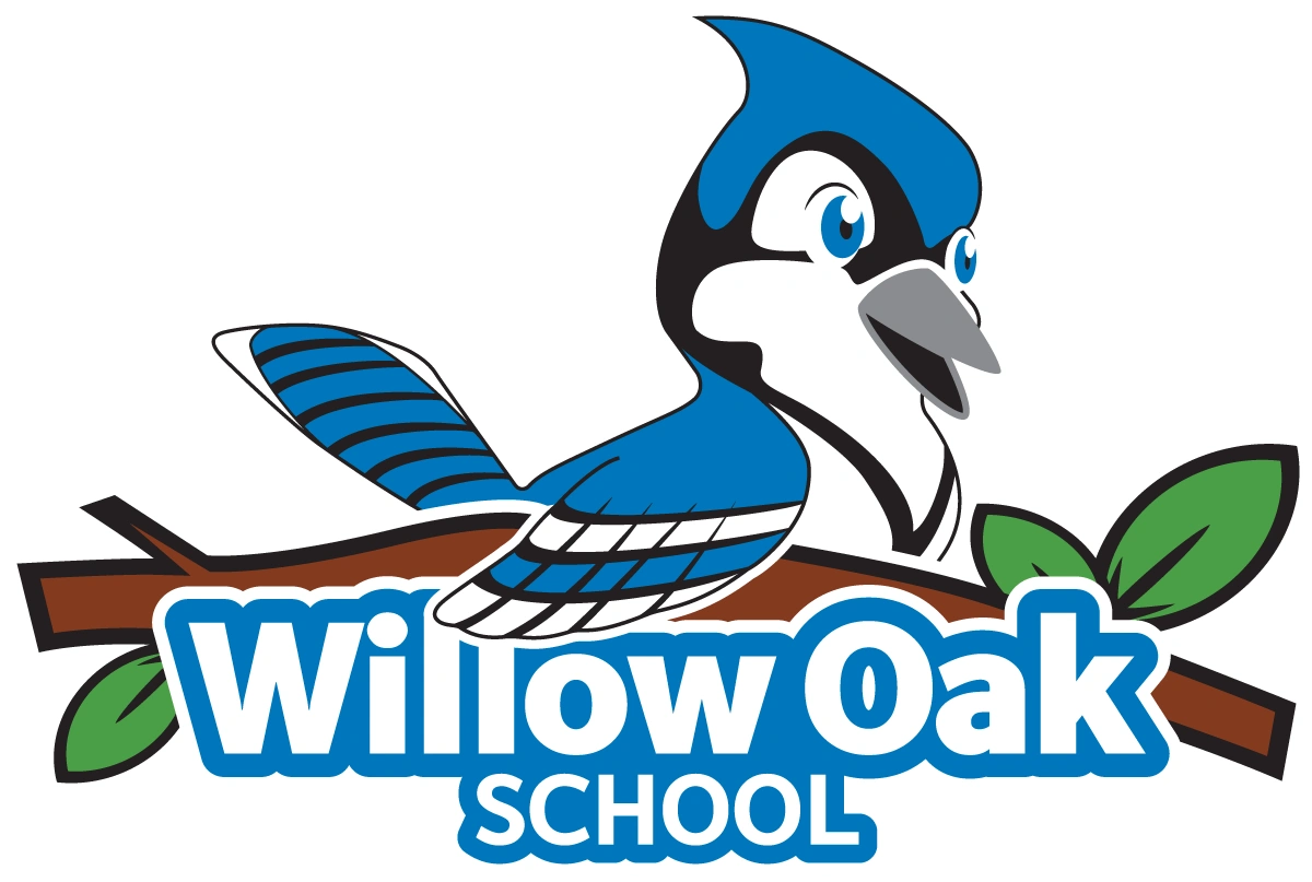 Willow Oak