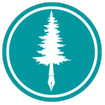 Blue Spruce Ink