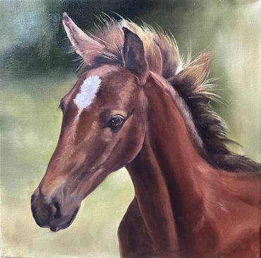 "Wild and Free"
12" x 12" Oil on canvas
SOLD