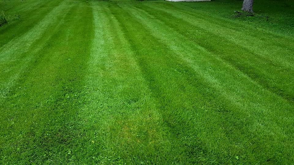 Blade V Blade Lawn Care and Maintenance, Lawn Care, Landscaping
