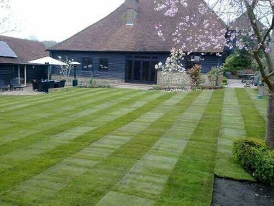 Turf