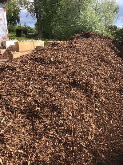 Bark Mulch