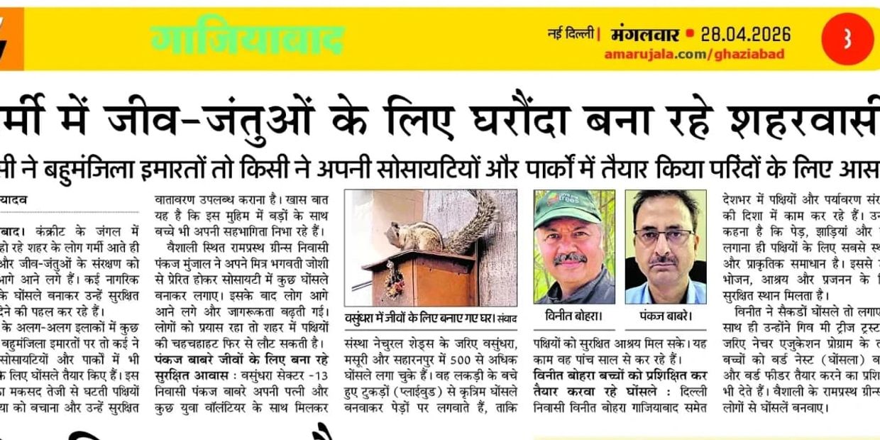 शहरवासी गर्मी में जीव-जंतुओं के लिए घरौंदे बना रहे हैं।