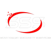 Southeast Security Service Inc.