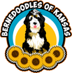 Bernedoodles Of Kansas