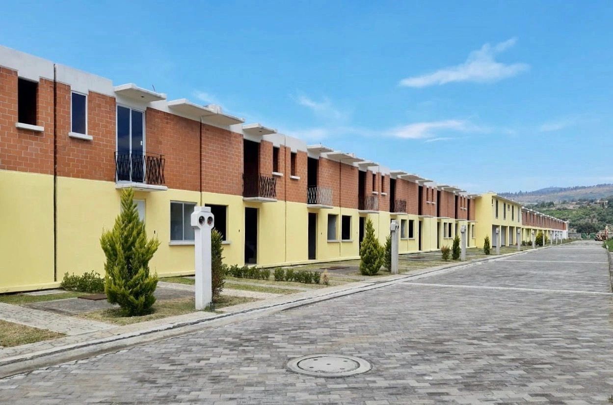 Rosa de San Francisco