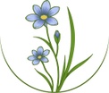 NATURE'S WISH