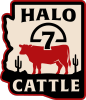 Halo 7 Cattle