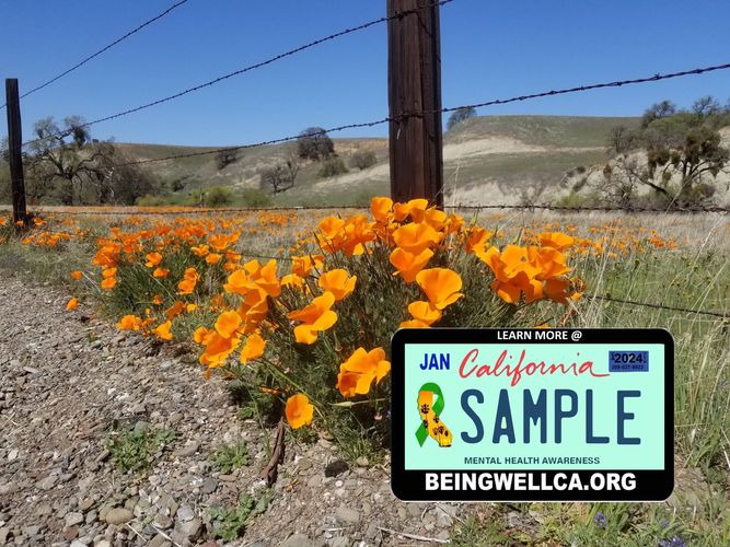 California Golden Poppy's with Mental Health License Plate. Mines Rd. Livermore CA