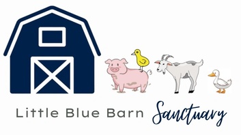 Little Blue Barn Sanctuary