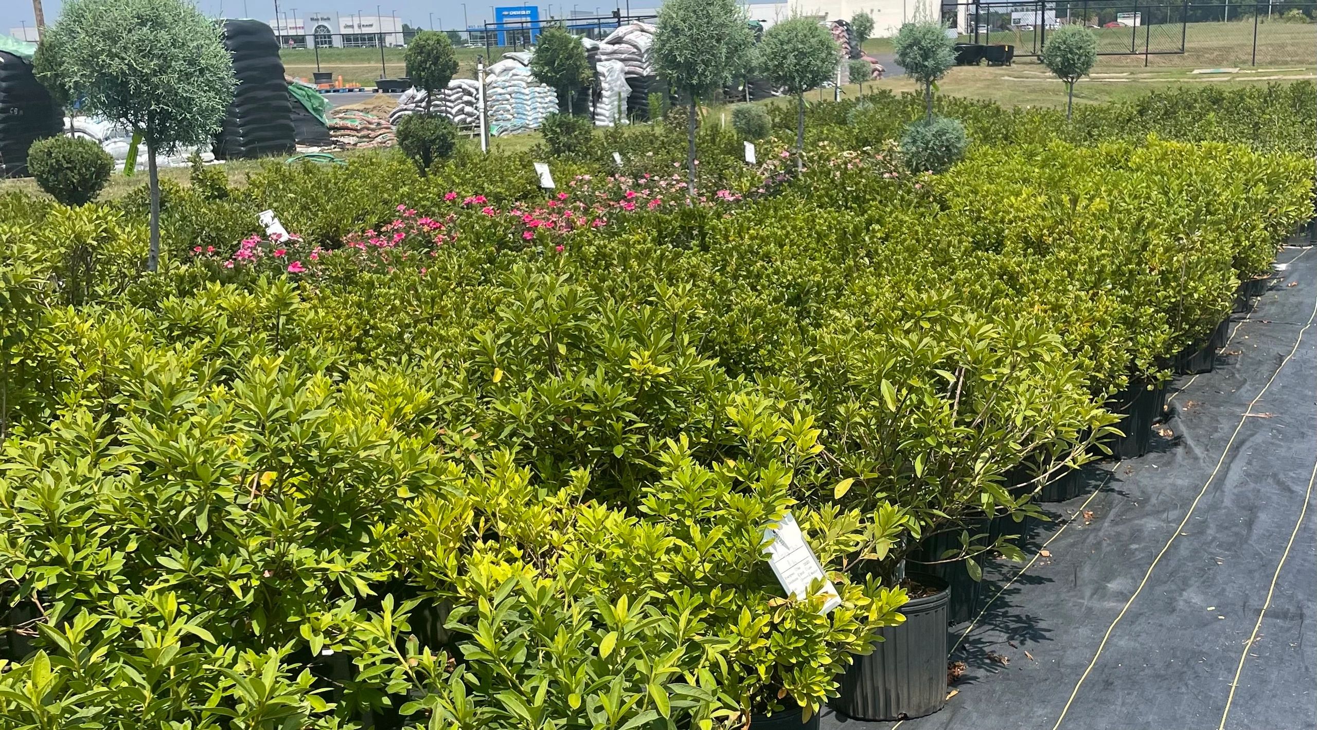 Callaway's Yard and Garden