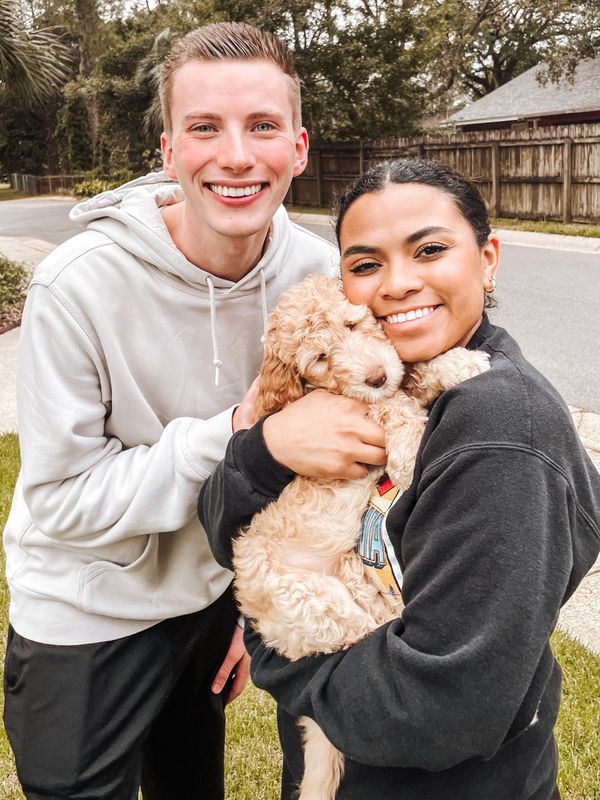 Goldendoodle puppy pick up day